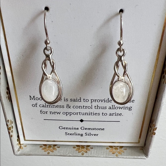 Sterling Silver | Moonstone Drop Earrings - Picture 8 of 8